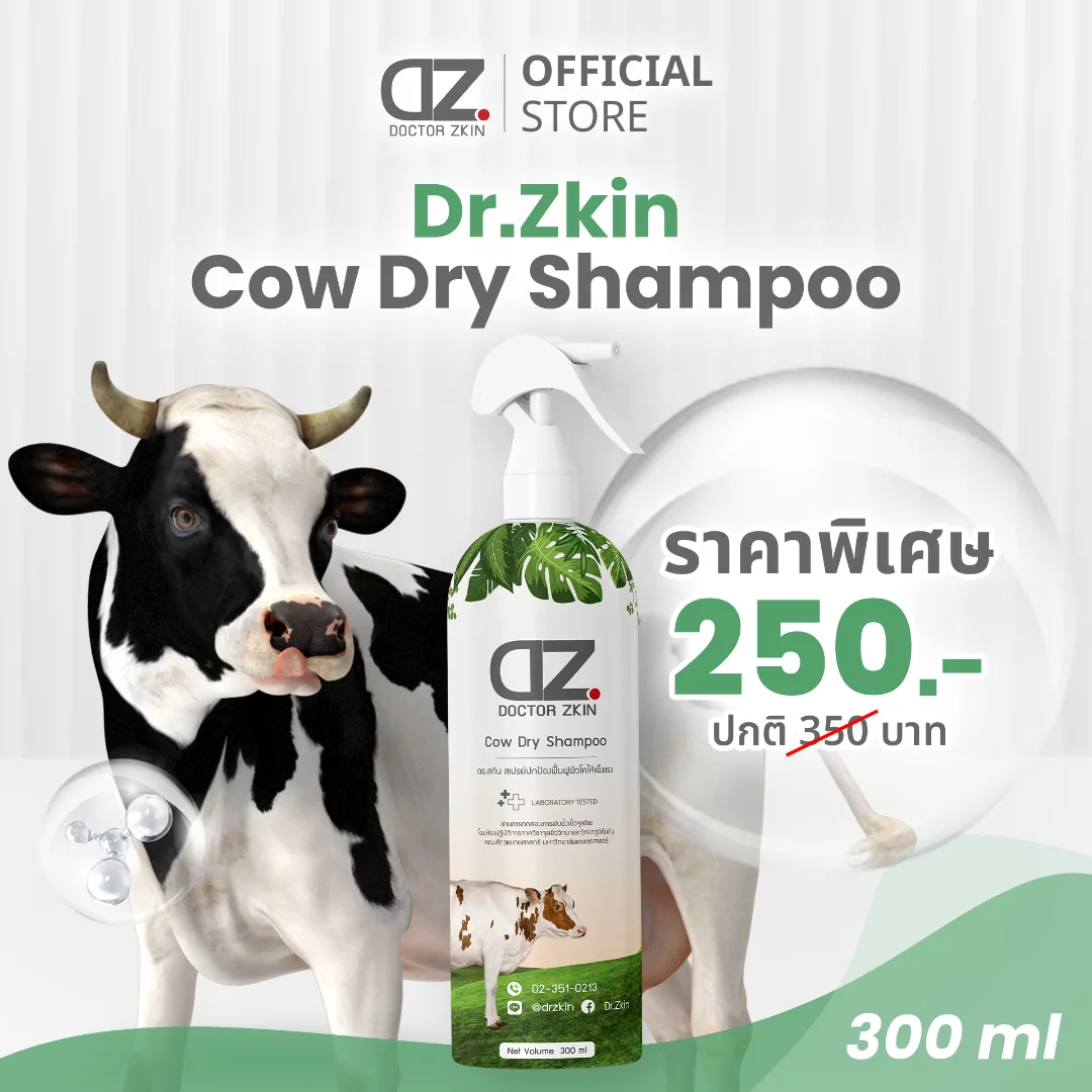 DZ Cow 300