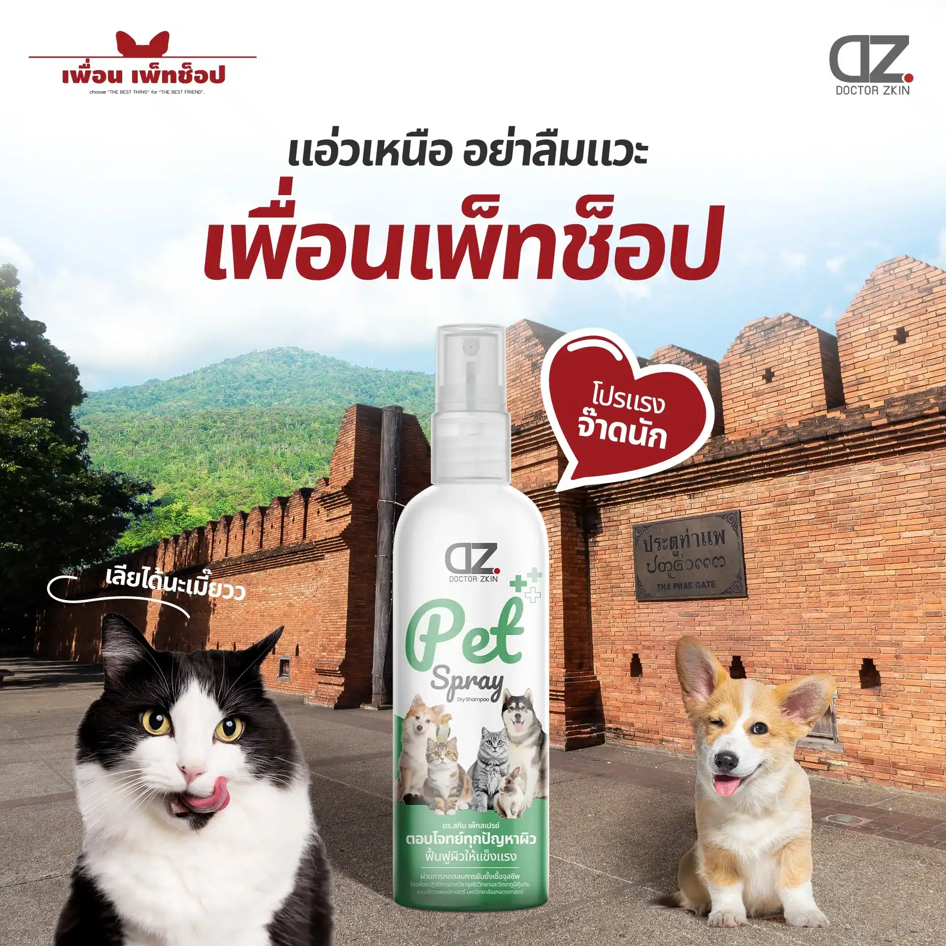 Pet spray with animals and brick wall dr.zkin