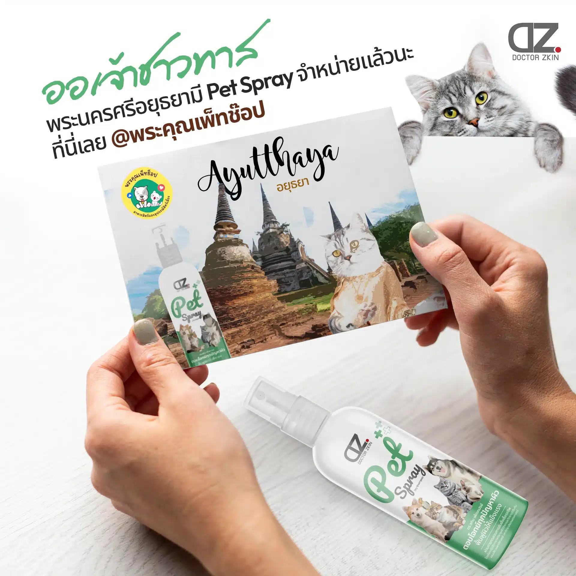 Pet spray promotional postcard with a cat dr.zkin Pet spray promotional postcard with a cat dr.zkin