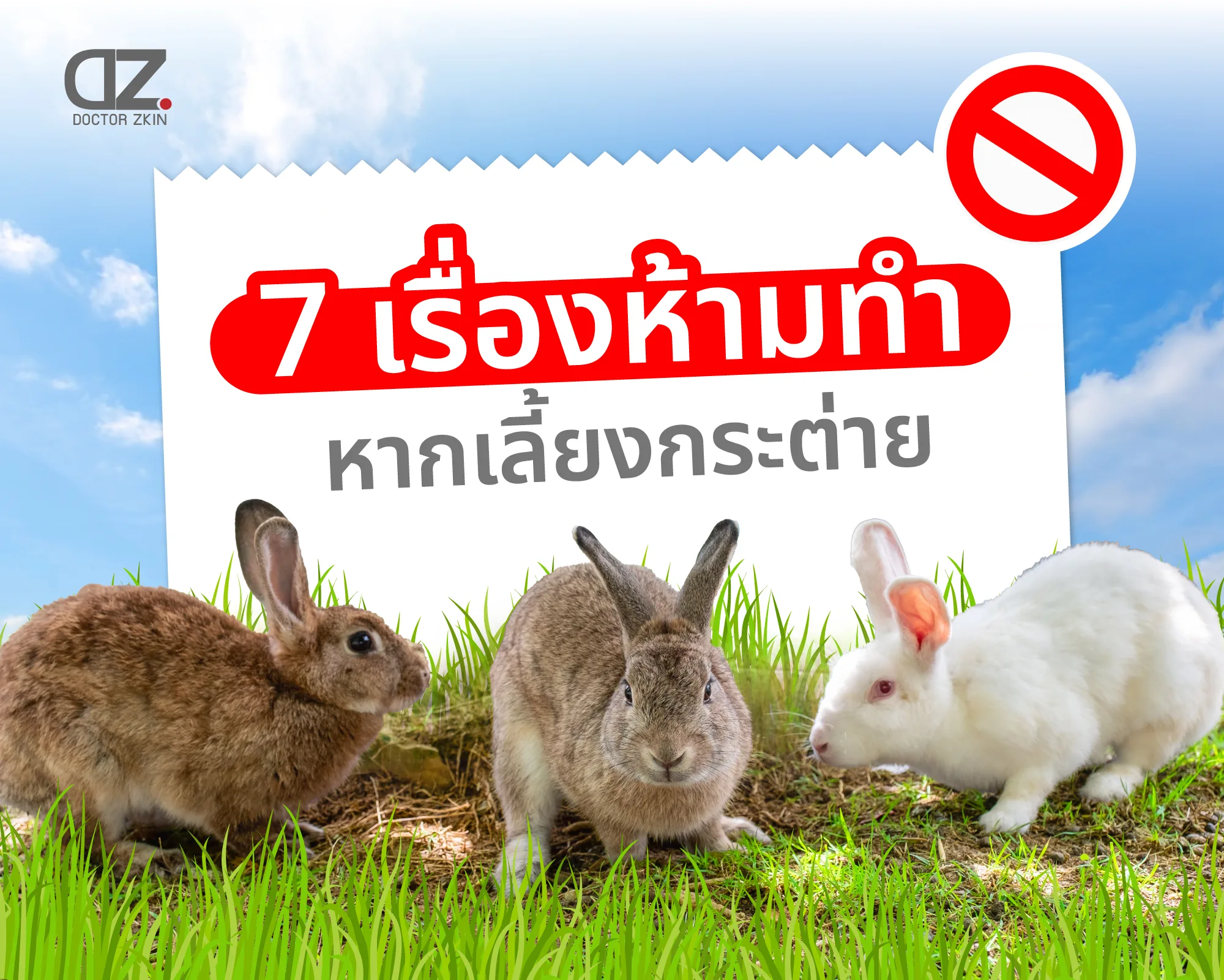 Three rabbits on grass with warning sign dr.zkin Three rabbits on grass with warning sign dr.zkin