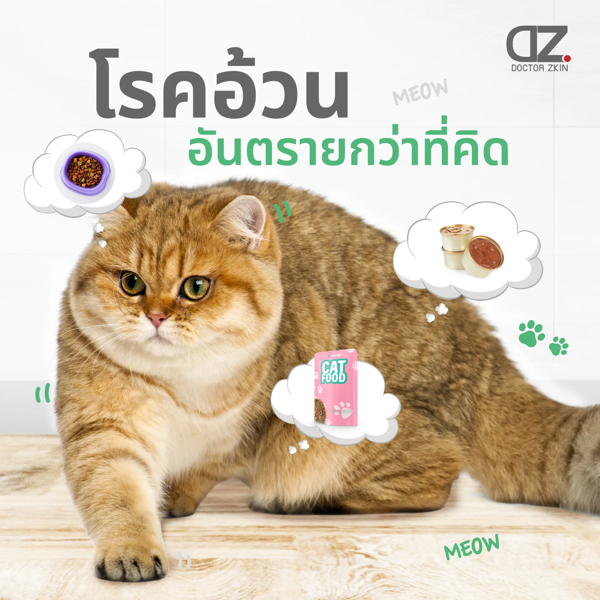 Adorable chubby cat with healthy food dr.zkin Adorable chubby cat with healthy food dr.zkin โรคอ้วนในแมว