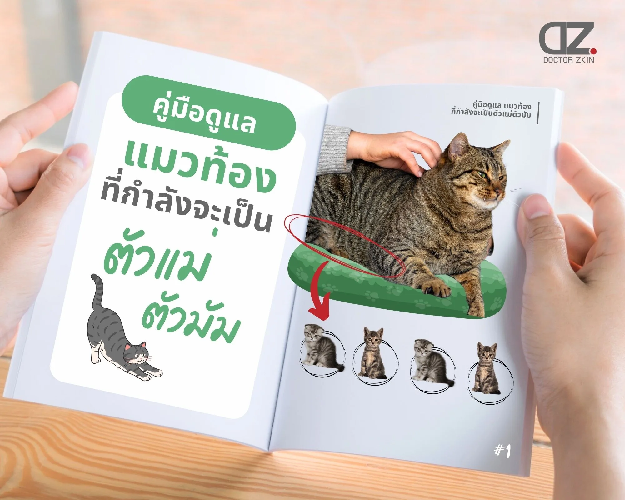 สำหรับน้องแมว!! พยาธิตัวตืดอันตรายกว่าที่คิด☠️ . พยาธิตัวตืดมีเจ้าจิ้งจก  ขี้จิ้งจก หนู หมัดเป็นพาหะ สังเกตได้จากการที่น้องแมวไถก้น ท้องเสีย ผอม  เติบโตช้า ร่างกายทรุดโทรม และไม่แข็งแรง 🪳🐁🦎🪱🙀 .  ซึ่งพยาธิตัวตืดสามารถป้องกันได้ เพียงแค่พาน้องแมวไปพบ ..., image size:2000x1600