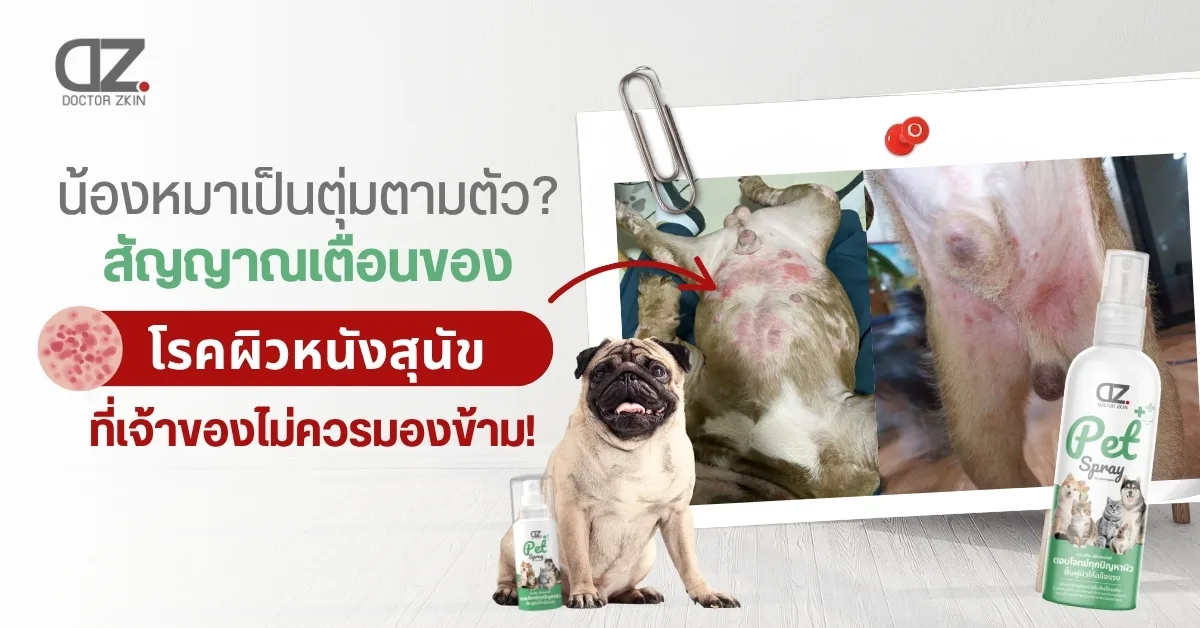 สุนัขเป็นตุ่มตามตัว Bumps on your dog’s skin