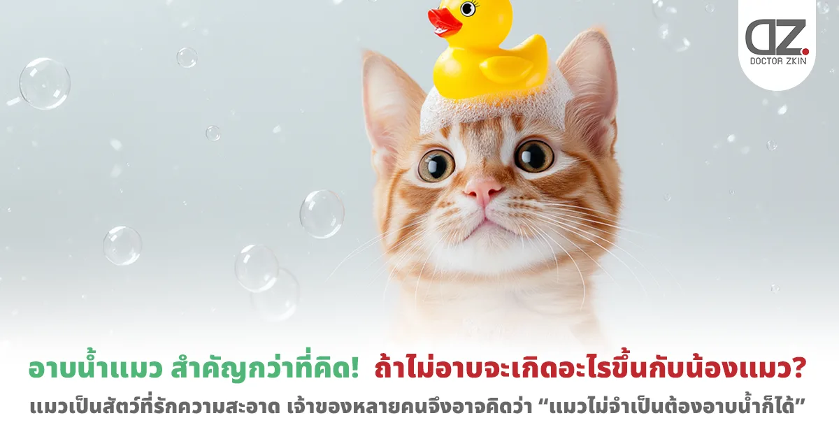 Cat baths matter more than you think